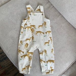 Burt’s Bees Baby cotton overalls